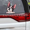 Retroreflective transport, cartoon glossy sticker, internet celebrity, pet