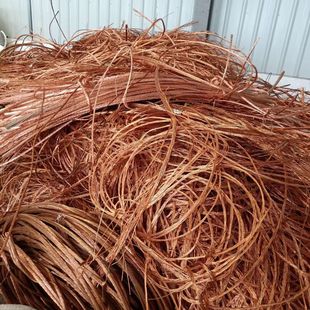 ���~�S�~��~���~�~���U�~�߃r����