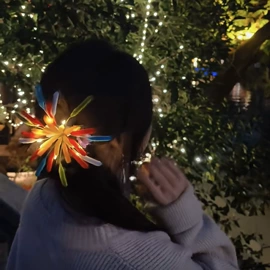 耳环;项链;耳钉