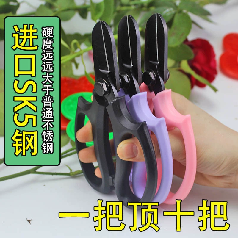 Немецкая жесткая сталь цветочная ножница