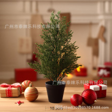 �羳С��45cm�}�Q�� �°ؘ� ����ֲ������ɼ���҃��b��ɰؘ�