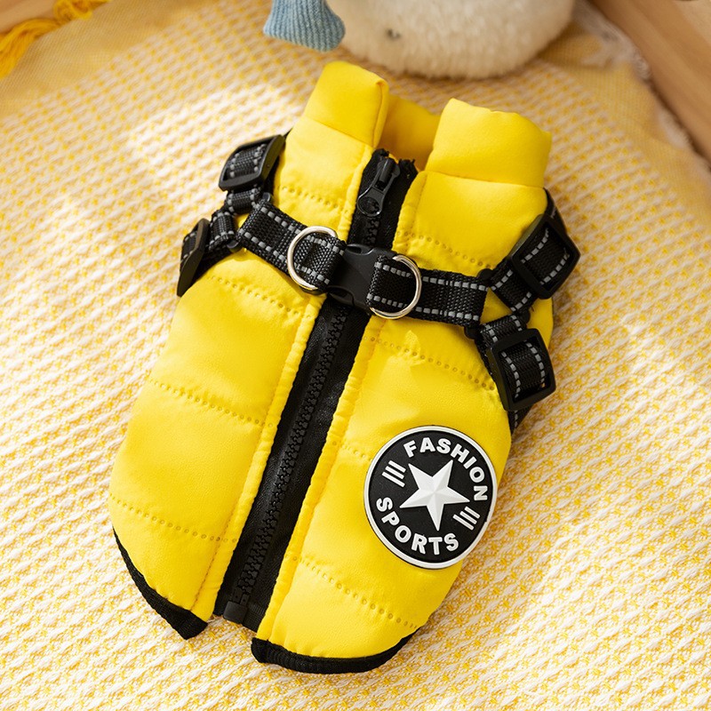 Otoño y invierno perros gruesos calentamiento negro de grafeno negro con sombrero de oro negro chaqueta de plumón gato algodón ropa de perro mascota