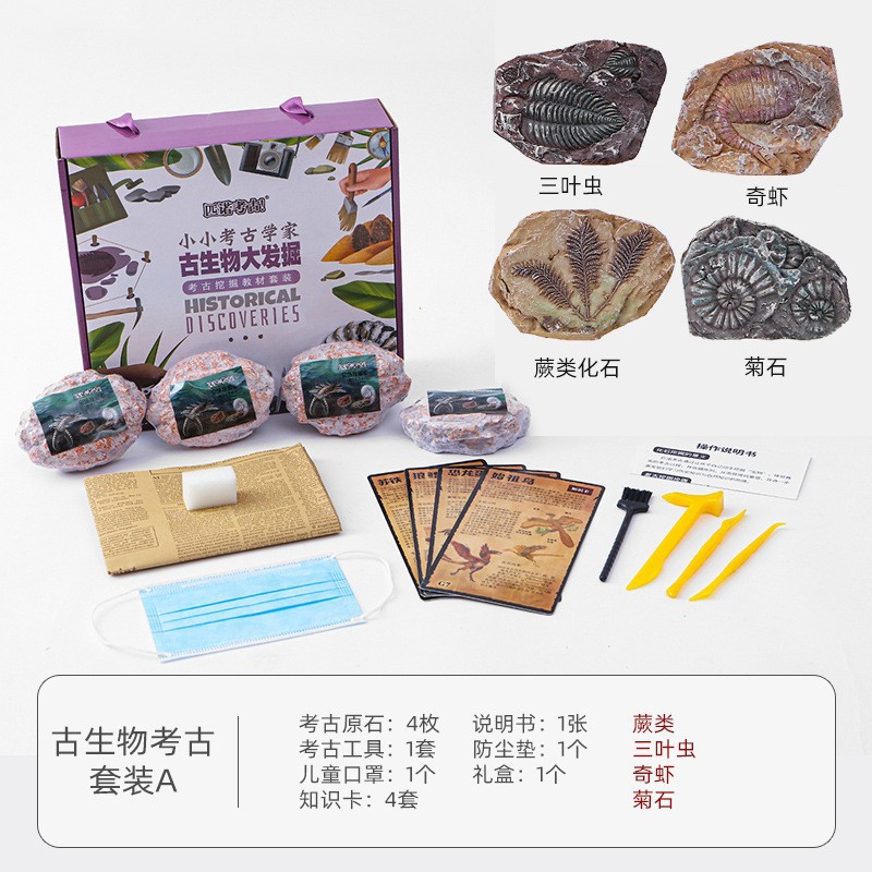 [과학 대중화 교육] 고생물학 시리즈 A의 세트 (16 개의 전체 상자를 촬영하는 것이 더 비용 효율적입니다)