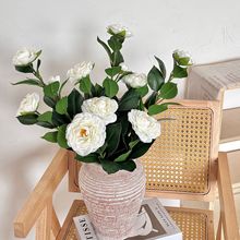 ɽ�軨���滨���N�¼��Nޱ���ҕ�������[���Ҿӿ͏d�bٻ��[�O