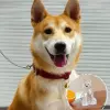 Larger (Chinese Dog) spot