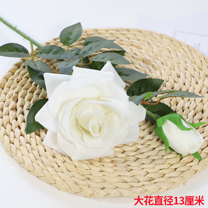 흰색 양두 장미 5 가지