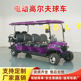 电动观光车;其他电动车;高尔夫球车