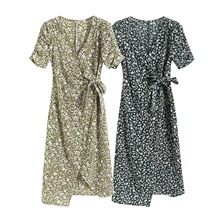 �F؛2026�ļ��¿�V�Iϵ�������黨�����B��ȹ1F4191481/1F4391482