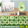 Luminous amber (4-piece set of tools)