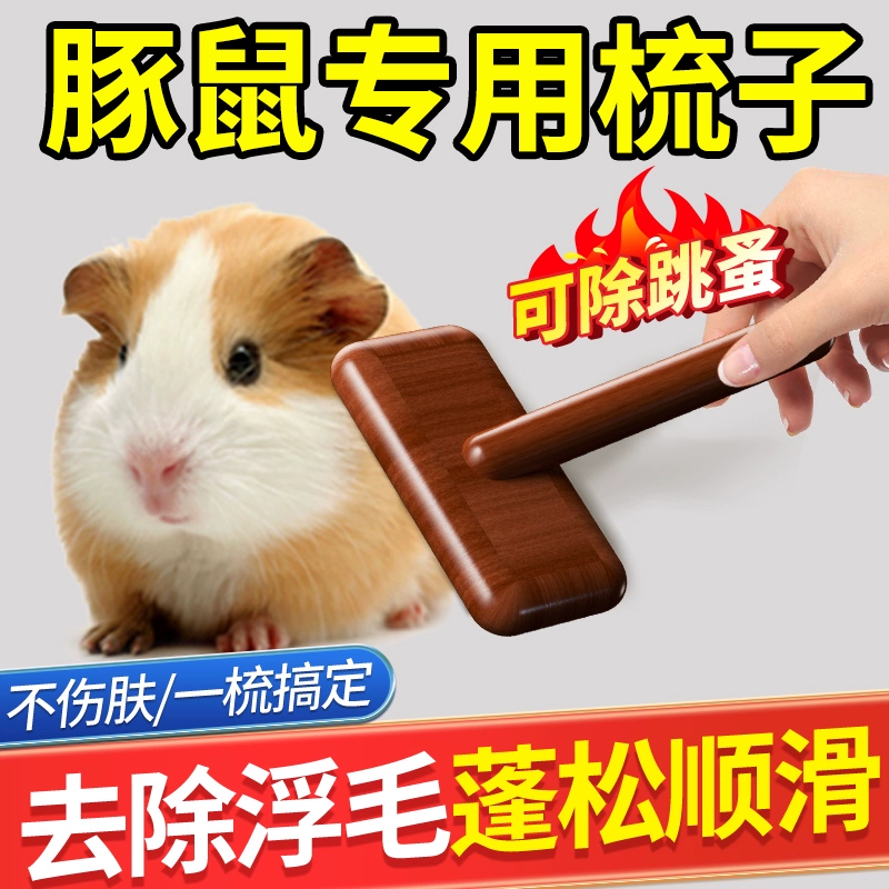 Товары для морских свинок Life Big Quan Расческа для хомяка Золотого медведя