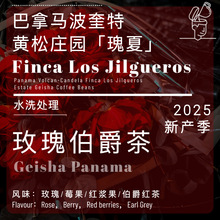 玩豆25季巴拿马波奎特黄松庄园水洗瑰夏玫瑰伯爵茶莓果红浆果生豆