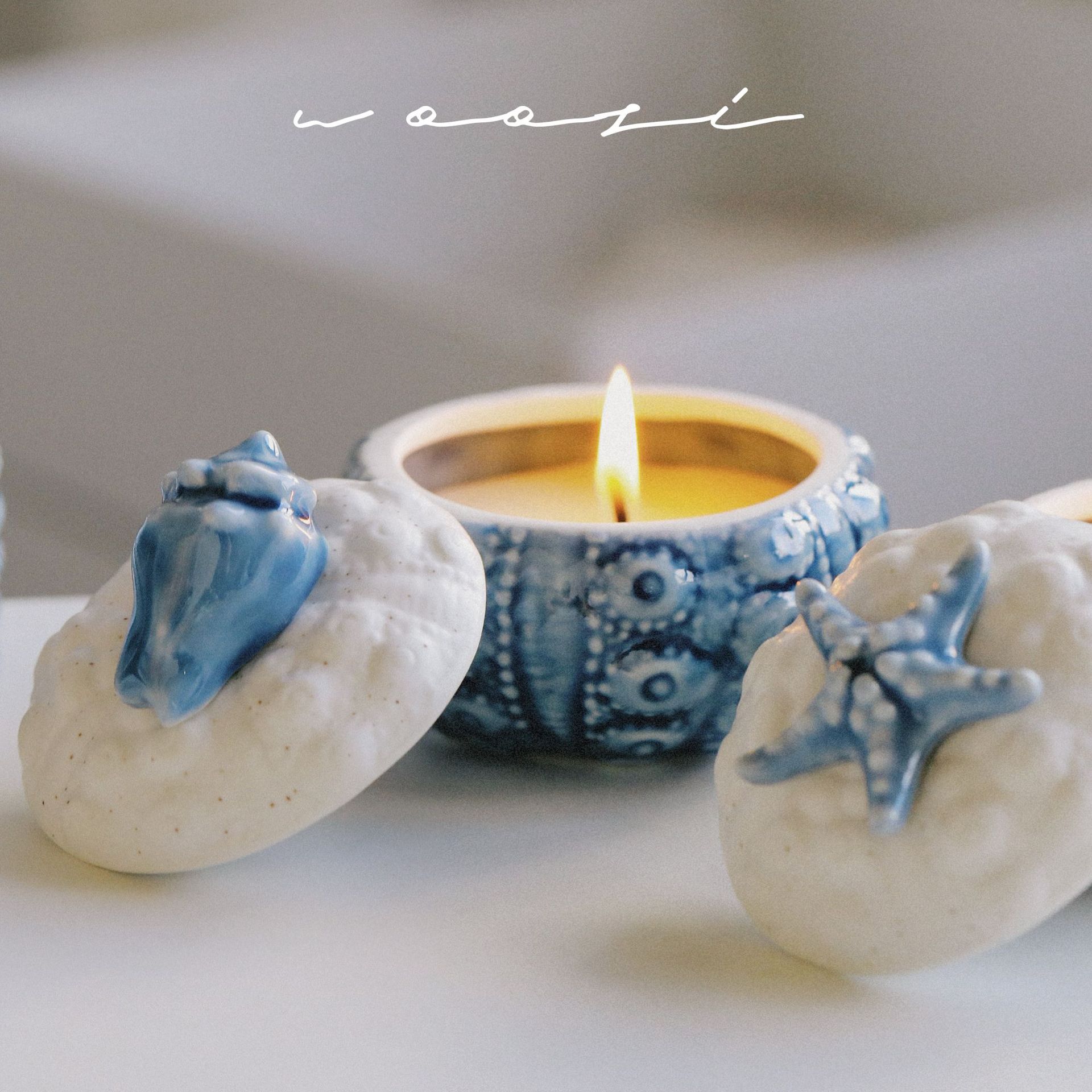 Vela aromática artesanal de cera de soja em forma de concha_voghion.com