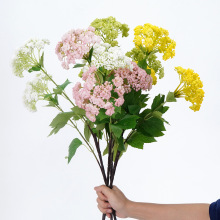 ����3�^�˻����аˌ��������й����� �b�c�zӰ������滨���l