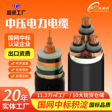 ���˼��~ YJV/YJV22 ��|8.7/15kV�Љ������|3о���z�y����늾�