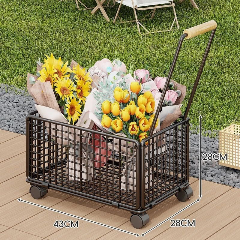 3020223f-58cb-42b1-9498-3c7a25f6749f.jpe