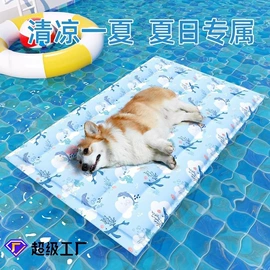 猫猫零食;猫猫玩具;猫猫窝/笼/垫