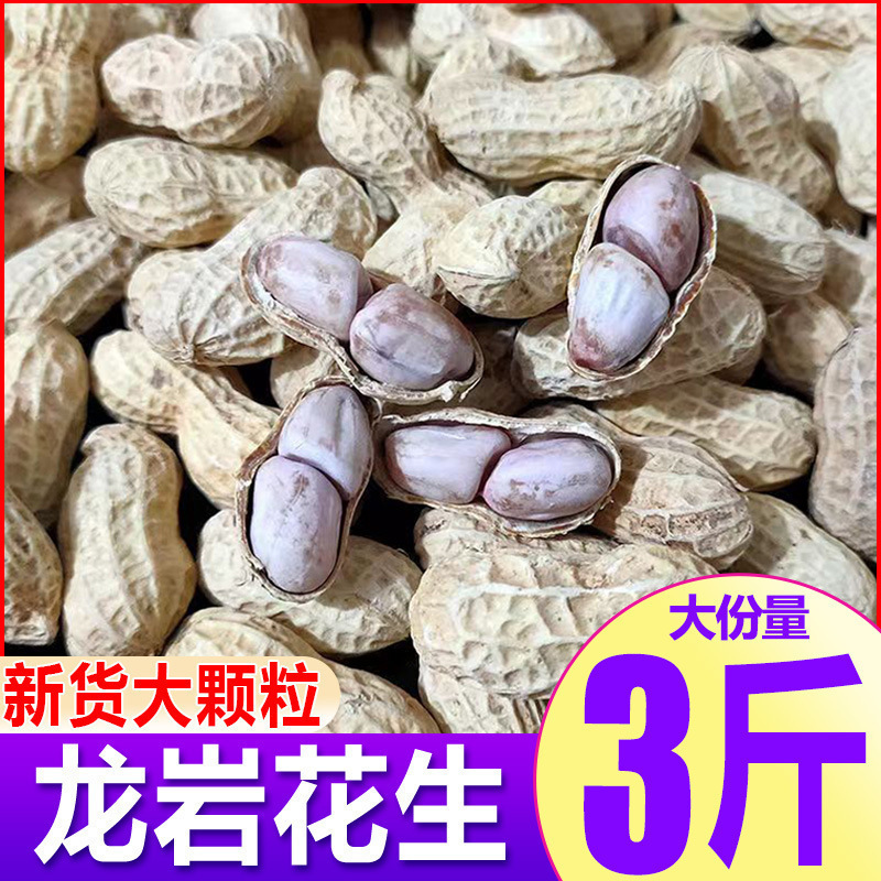 【茹でた落花生・天日干し】龍岩茹で落花生・ニンニク風味落花生・五香落花生・茹でた塩味落花生・塩干し落花生|undefined