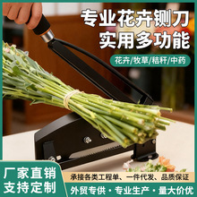 �ք��Ҳݵ������r������厵��зۗl�И�֦С���¿���������܈�ݵ�