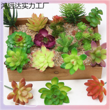 批发✅迷你多肉植物花头小号插花配件假多肉塑料花装饰植物盆栽