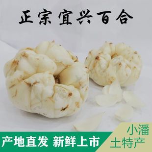 �������d���r��ٺ�ʳ�ù�Ч�ٺτ��m����ɽ�ٺ� ΢��1����]