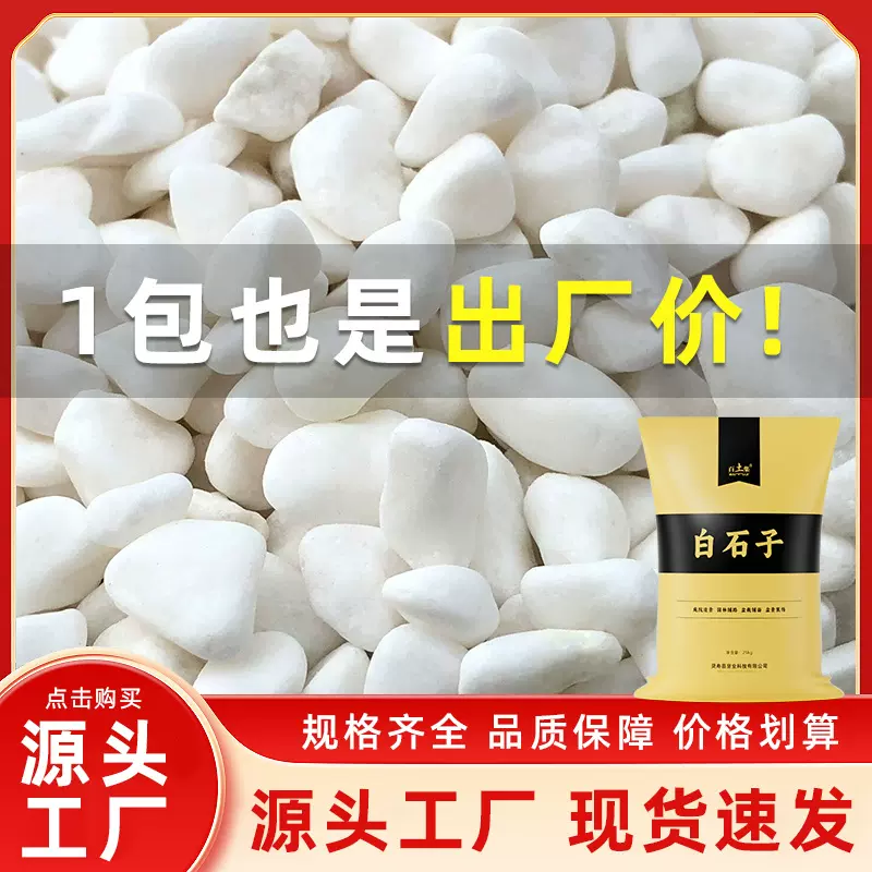 白石子50斤装包邮大鹅卵石庭院铺路铺地小石子园林景观鱼池造景石