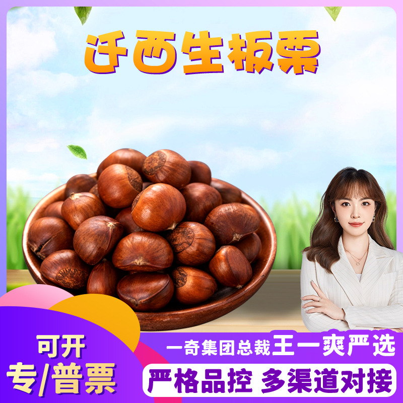 【严选】河北迁西生板栗 代发5斤大果当季油板栗子新鲜粉面毛栗子