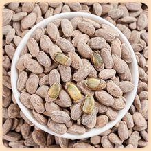 ��؛�����Ӵ��w������ζ���b�Թ��Qɢ�b��؛�ǹ��V�����e��ʳ���l