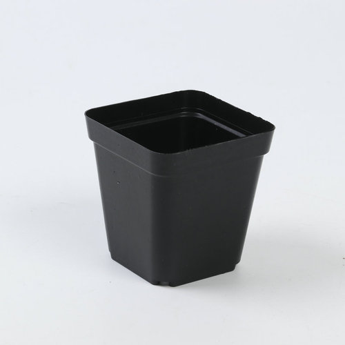 Black Square Plastic Seedling Pots for Export and Cross-border Wholesale Base, Planting Thick Square Seedling Cups