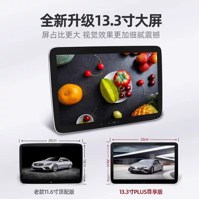 Multimedia: Car TV
