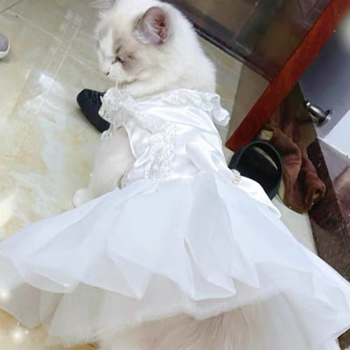 Pet dog white wedding dress teddy dog formal clothes veil cat princess evening dress tutu skirt for cats