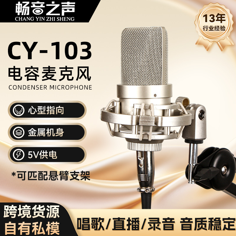 Cross-Border Cy-103 Condenser Microphone Large Diaphragm Metal Recording Microphone Small Diaphragm Wired Live Recording