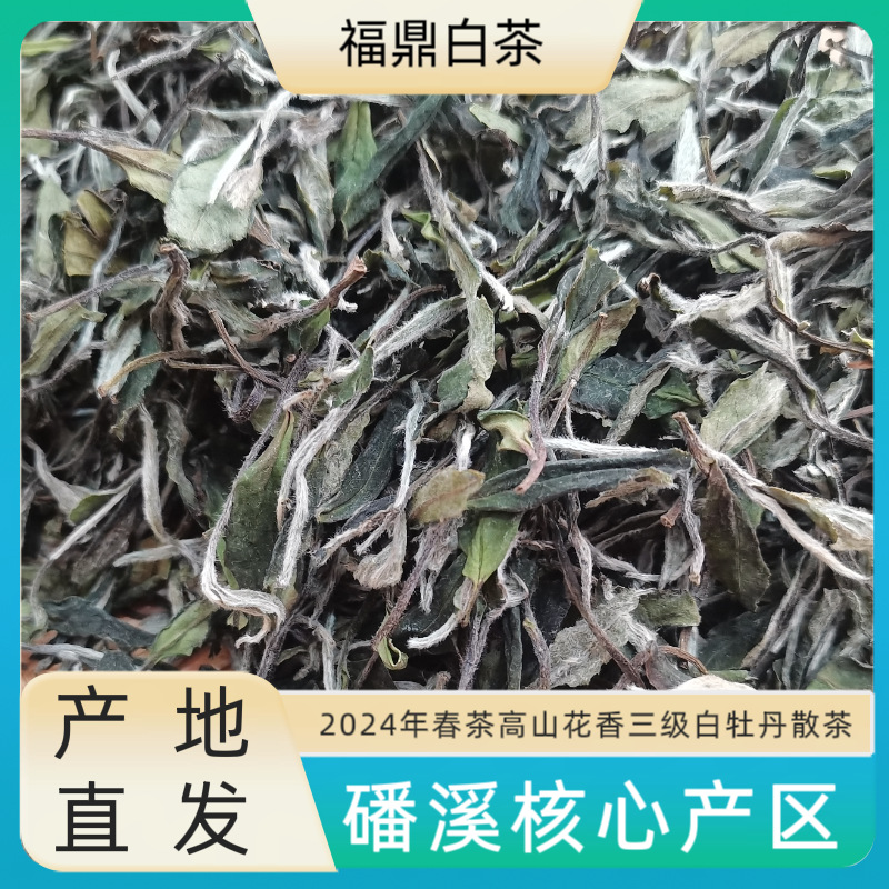 新春茶上市2024年福鼎白茶磻溪高山三级花香白牡丹散装茶叶批发