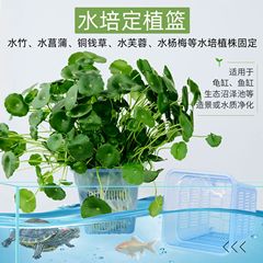 水槽水草栽培カップ 透明根制御ポット 植物固定バスケット 亀水槽造景アクセサリー 水耕栽培バスケット 水生栽培