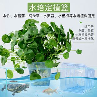 Fish Tank Aquatic Plant Planting Cup, Transparent Root Control Pot, Plant Fixing Basket, Turtle Tank Landscaping Accessories, Hydroponic Planting Basket, Water Culture