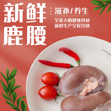 ����꡿���l����÷��¹ ���r¹����¹�I ¹غ�� ¹�� һ�����l