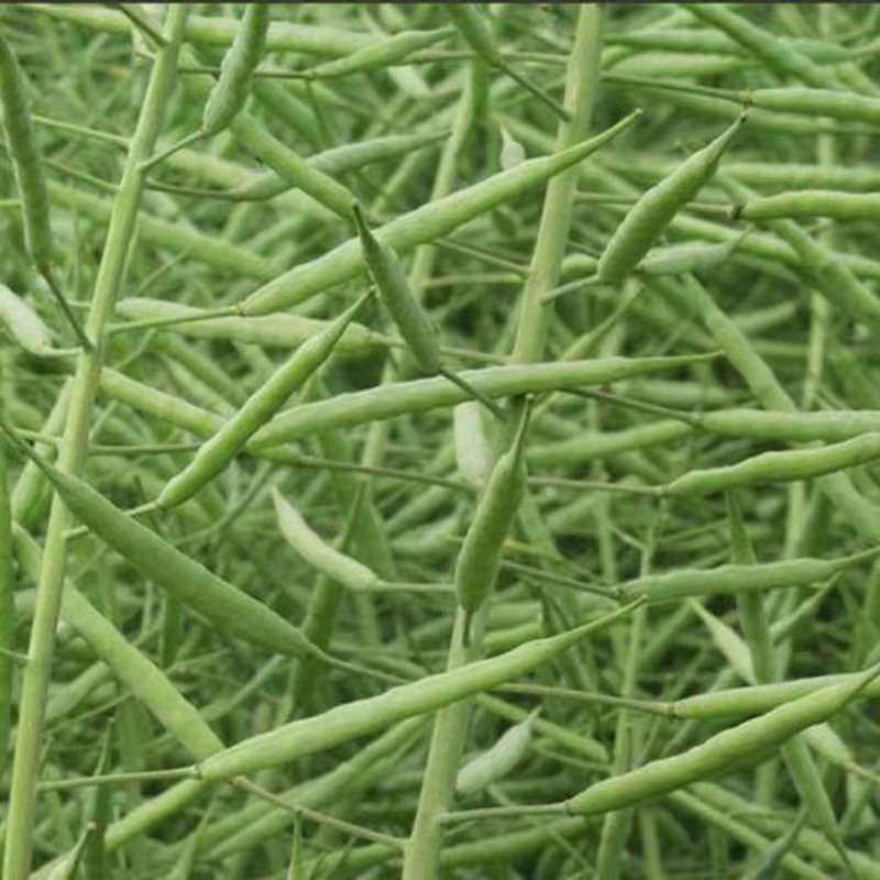 微信图片_20211010192715