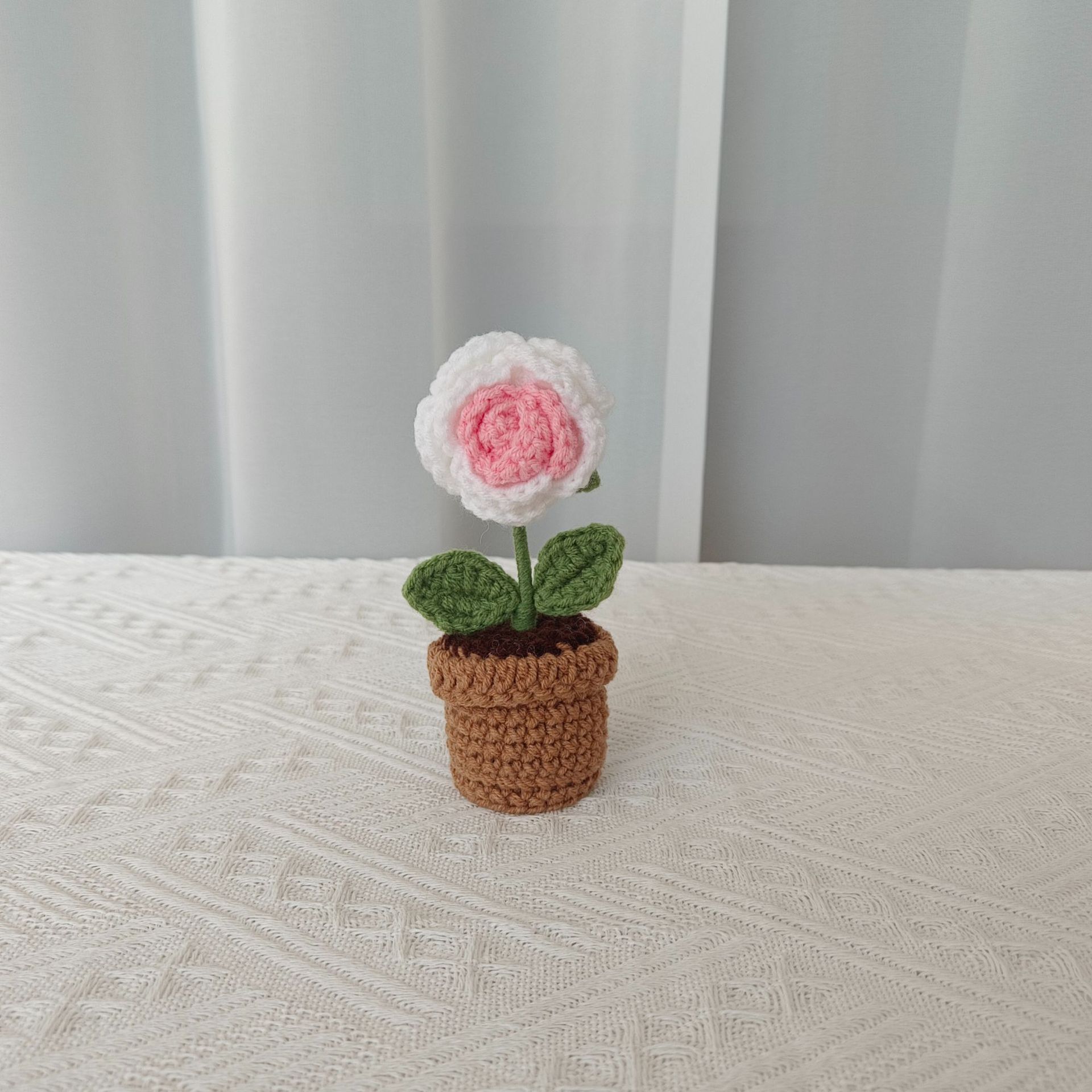 그라디언트 장미 화분
