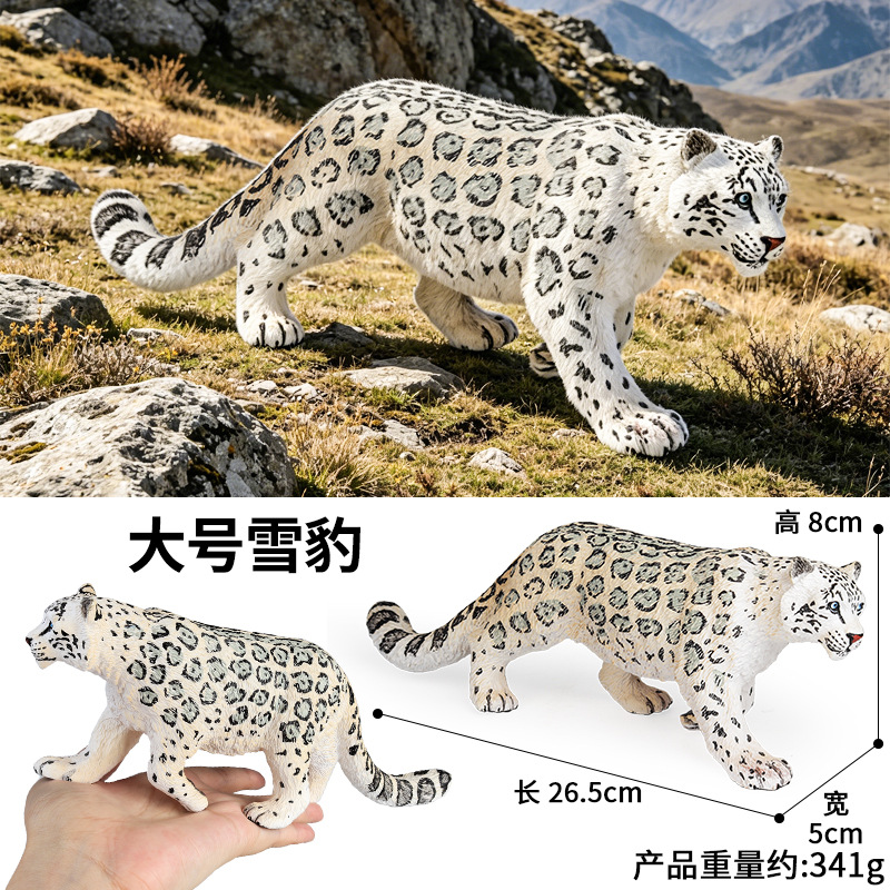 X194 Leopardo de las Nieves Grande y Sólido
