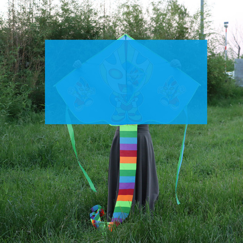 Weifang Kite Wholesale New 1.2m Curved Edge Kite Rainbow Long Tail Easy to Fly Children's Kite Street Stall Wholesale