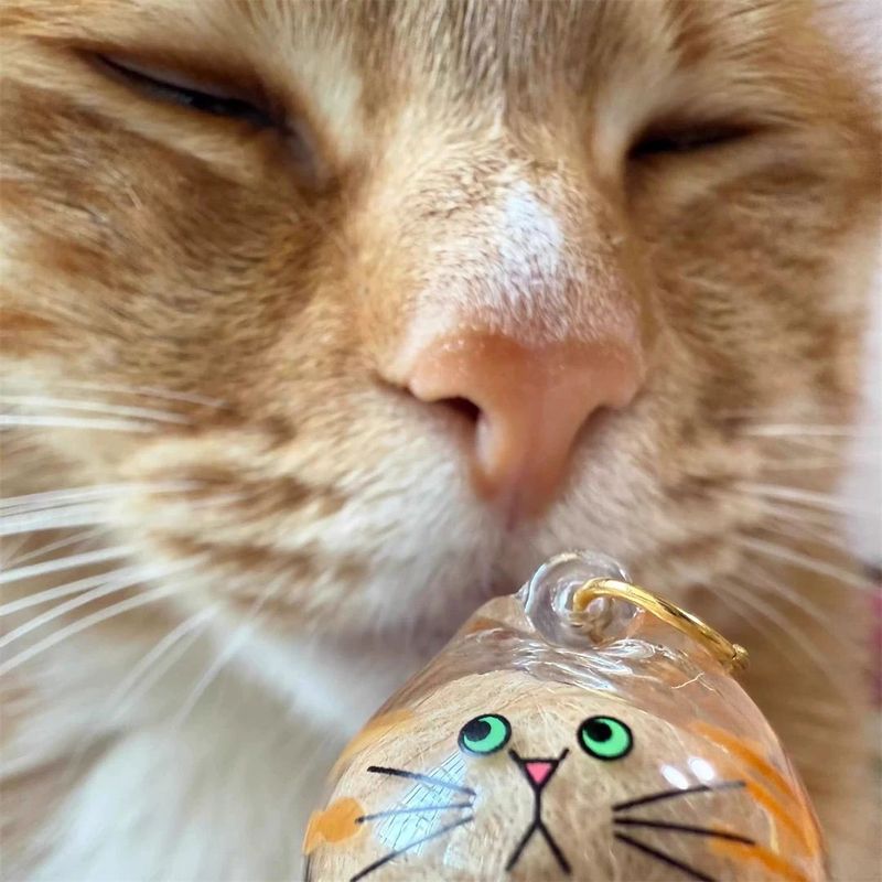 透明猫毛収納ボックスチャームガシャポン猫毛収納カプセルガシャポンバッグキーホルダーペンダントコレクションハンド|undefined