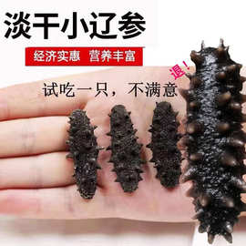 干海参特价小海参干货辽刺参泡发海参非即食海参礼盒直播 代发