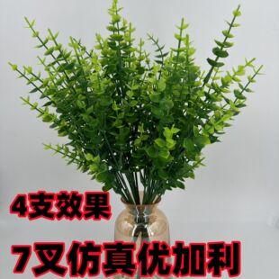 �S�ҹ������滨���X�~�Gɫֲ��Ҿ��bٻ����ϻ� 7��35Ŀ�ȼ���