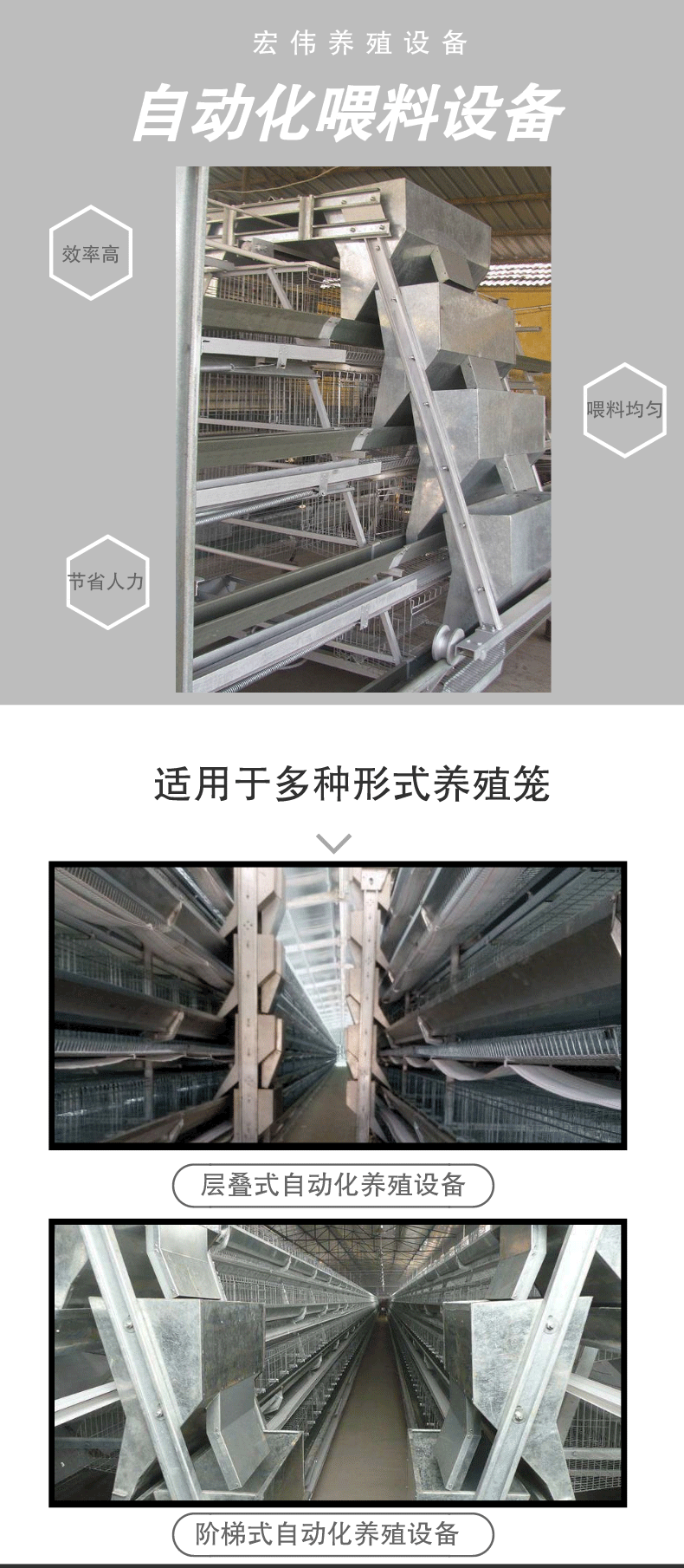 喂料機(jī)_01.gif
