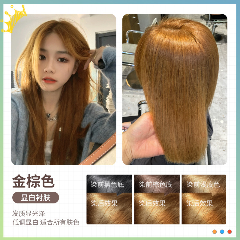 황금 다크 브라운 [식물 거품 염색] + 도구