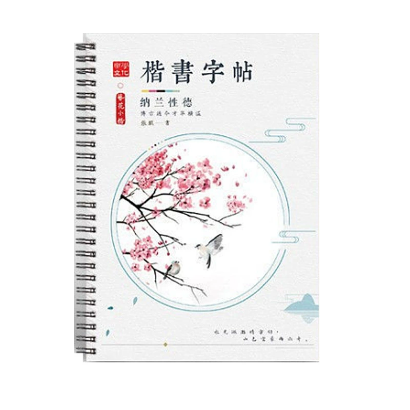 Каллиграфия, прописи, ручка, для начинающих