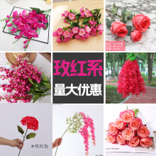 õ�tɫ���滨������c���ľGֲ�[�Ż��Ƶ��Y�쾰·���b��ٻ�