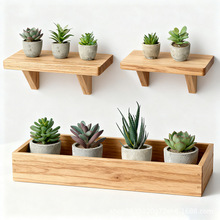 ���涬���������ins�L���{������������m��