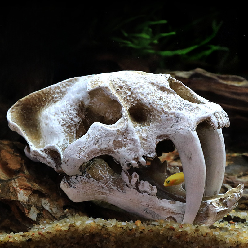 恐龍頭骨躲避屋樹脂爬寵爬蟲水草造景仿真頭骨魚缸水族箱裝飾擺件
