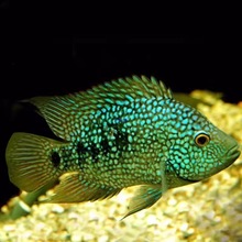 �M���ǵ��ݱ��G�����~�д��͟Ꭷ��ˮ�^�p�~������w�y���؈D�W�^