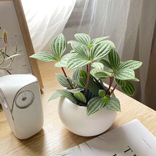 ������Ƥ����G��݆�~�k���҃������ĳ���������С�Gֲ���˺��B